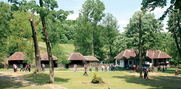 Brankovina img6