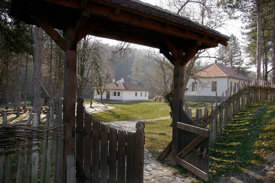 Brankovina img2