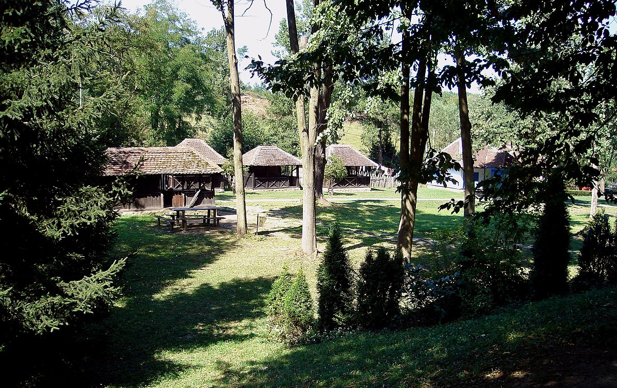 Brankovina img5