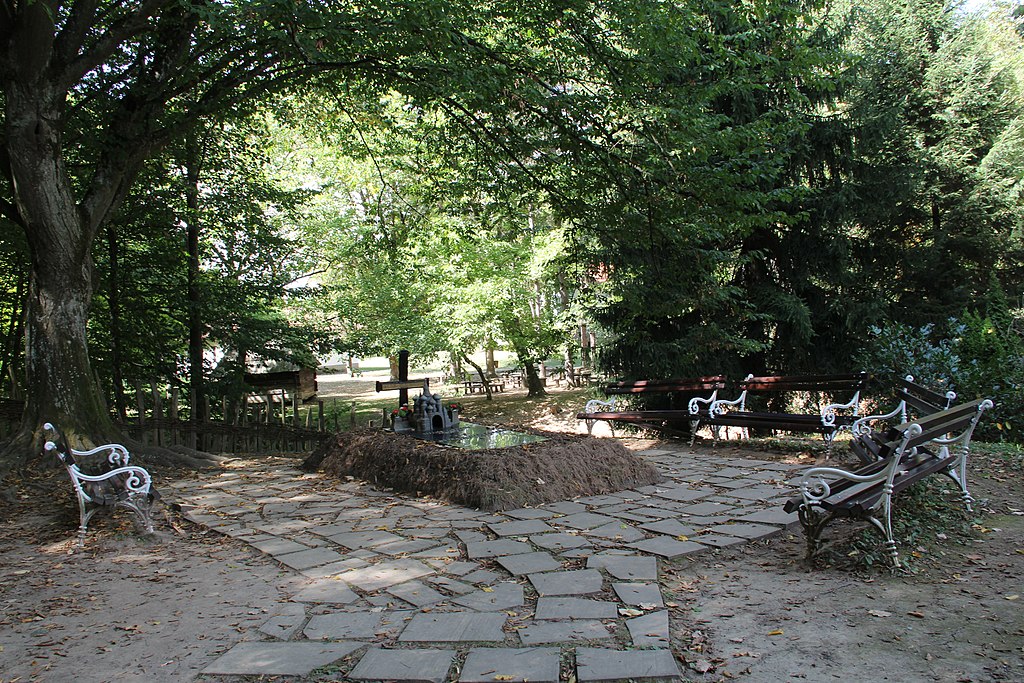 Brankovina img1