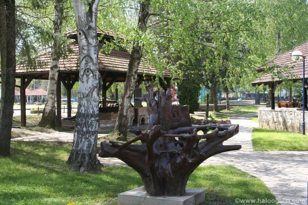 Most ljubavi - Banja Vrujci img4