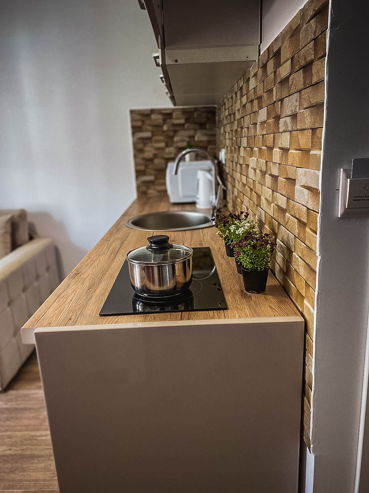 Apartmani Vila Ana - Kuhinja 1
