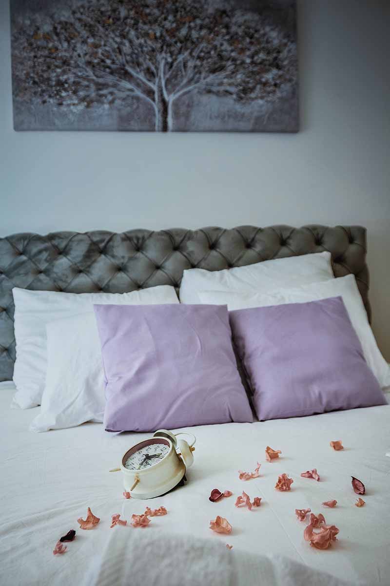 Apartmani Vila Ana - Spavaca Soba 3