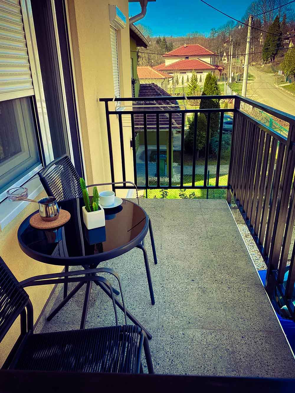 Apartmani Vila Ana - Terasa 1